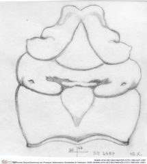 Historische Skizze/Zeichnung von Prosopon abbreviatum (Schweitzer & Feldmann, 2009) (NHMW-AFW-GEO-BACHMAYER-FOTO-1990-0041-2487)